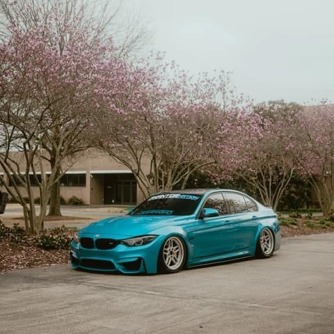 Judged Car Show Entry